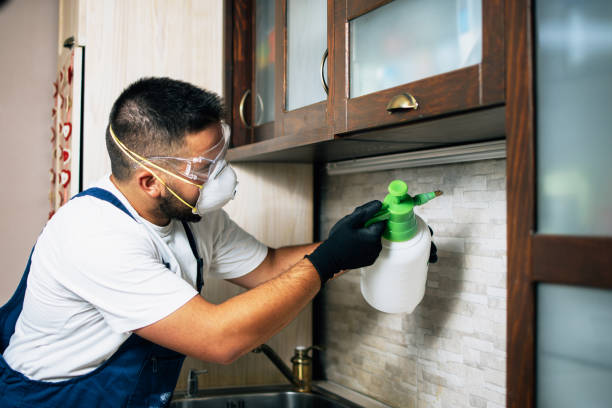 Best Emergency Pest Control  in North Sarasota, FL