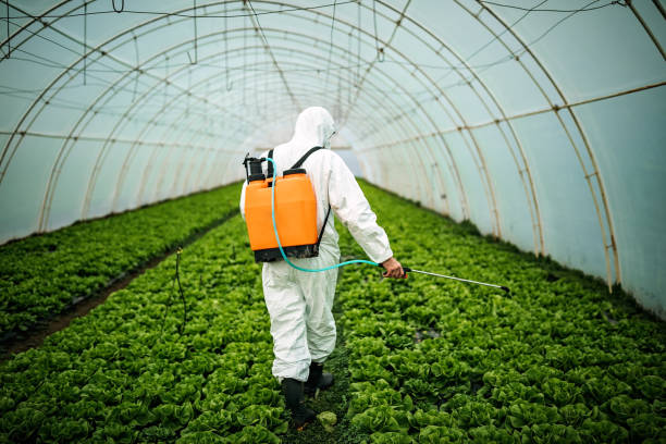 Best Pest Removal Services  in North Sarasota, FL