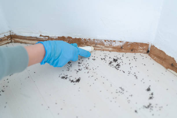 North Sarasota, FL Pest Control Company